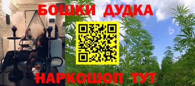 мескалин Кингисепп