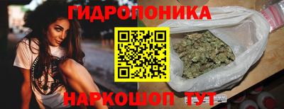 тгк Кимры