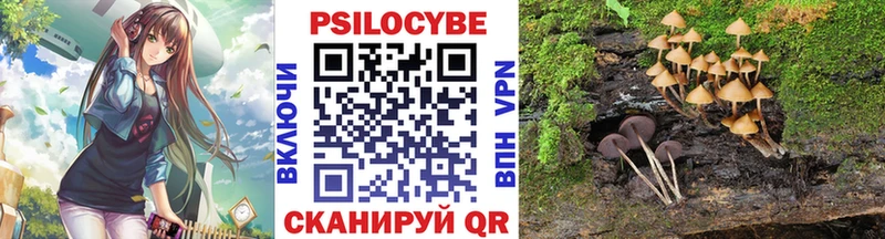 MEGA как войти  Кропоткин  Псилоцибиновые грибы Psilocybe 